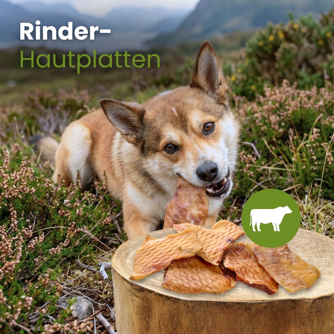 Rinder-Hautplatten