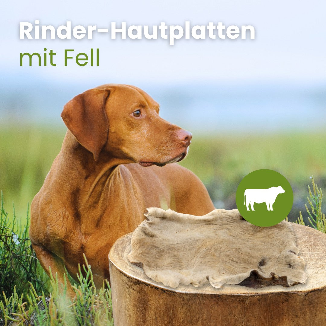 Rinder-Hautplatten mit Fell