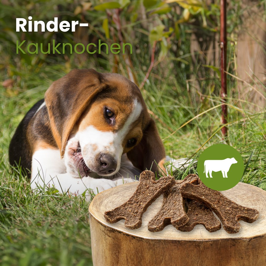 Rinder-Kauknochen