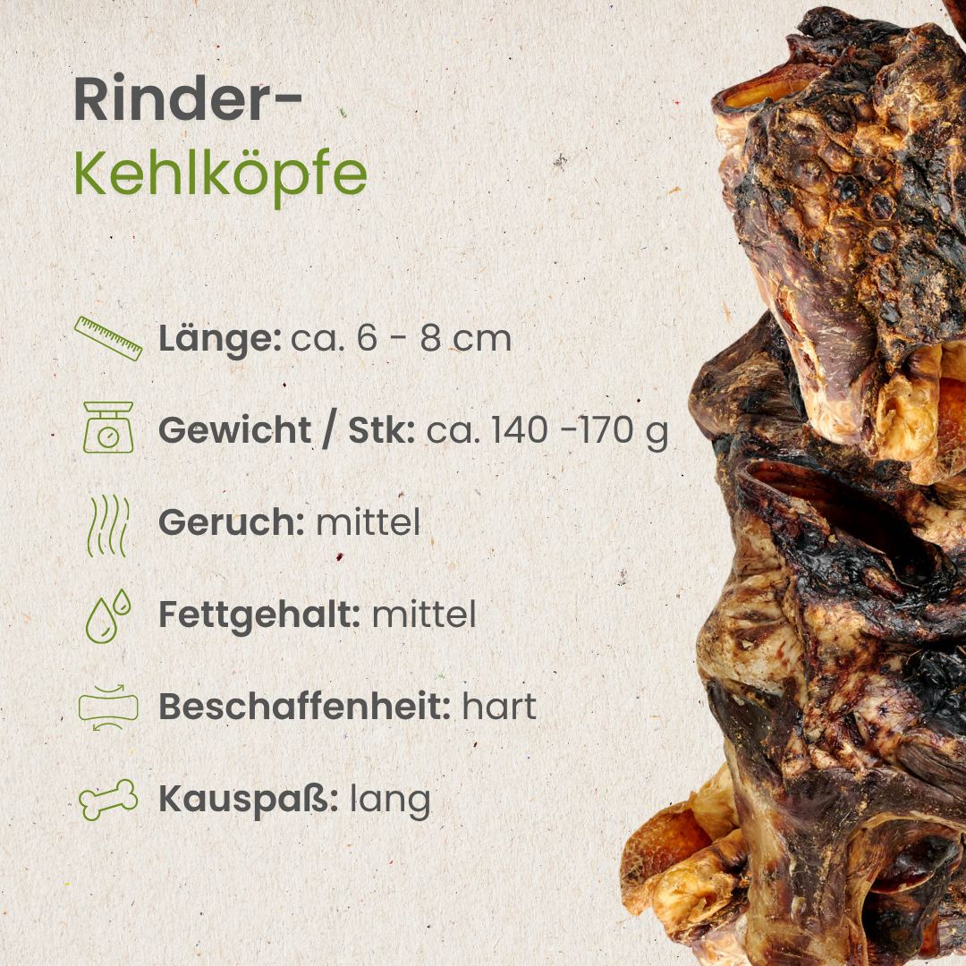 Rinder-Kehlköpfe