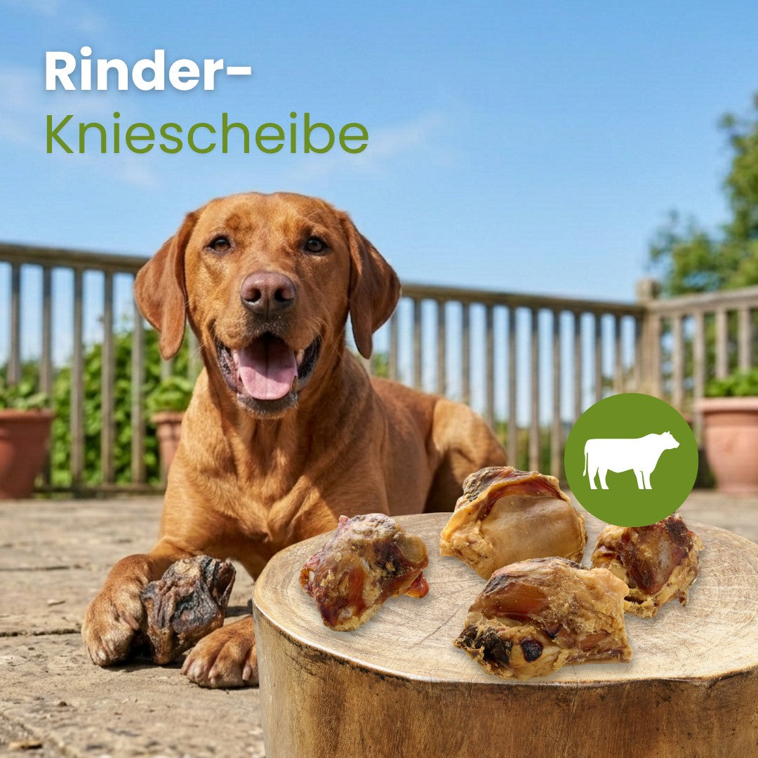 Rinder-Kniescheibe