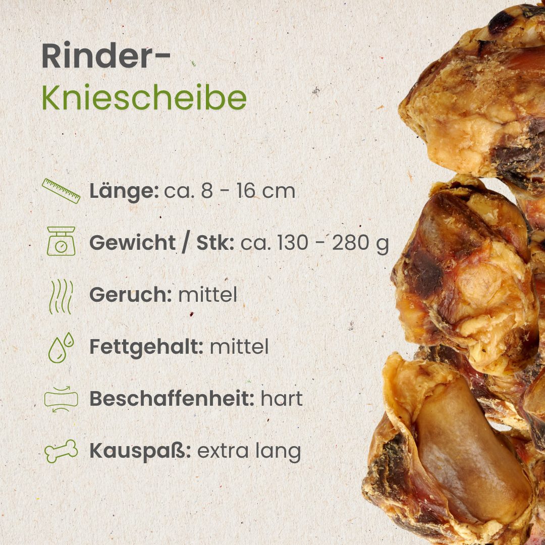 Rinder-Kniescheibe