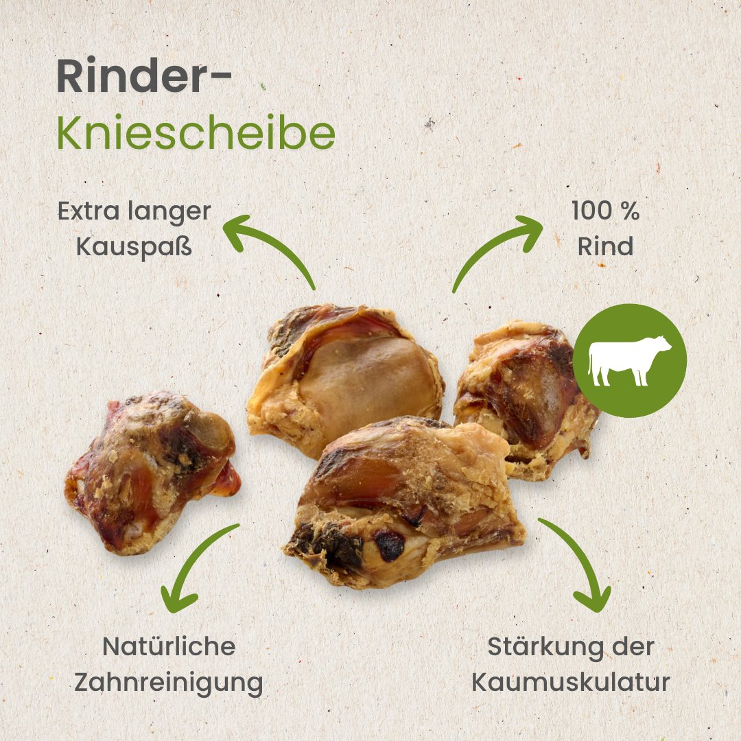 Rinder-Kniescheibe