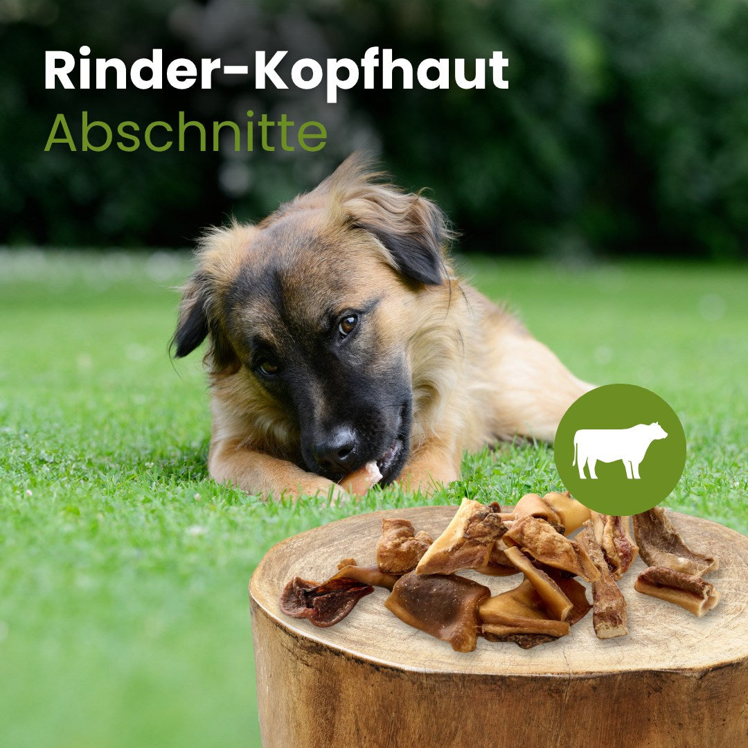 Rinder-Kopfhaut, Abschnitte