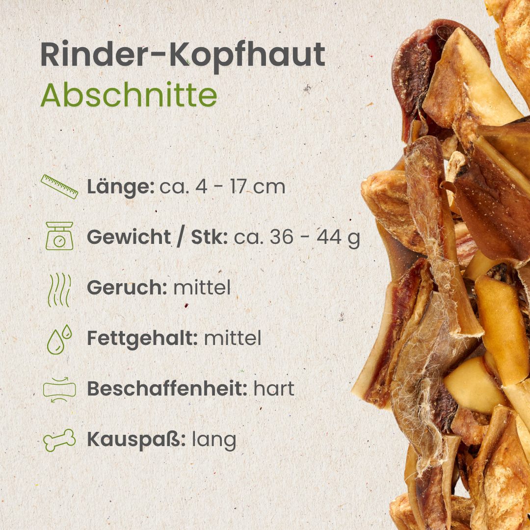 Rinder-Kopfhaut, Abschnitte