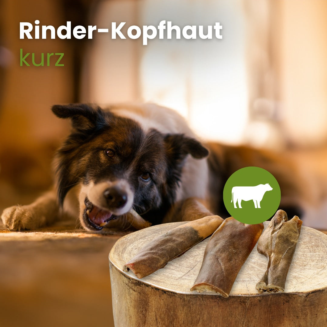 Rinder-Kopfhaut, kurz