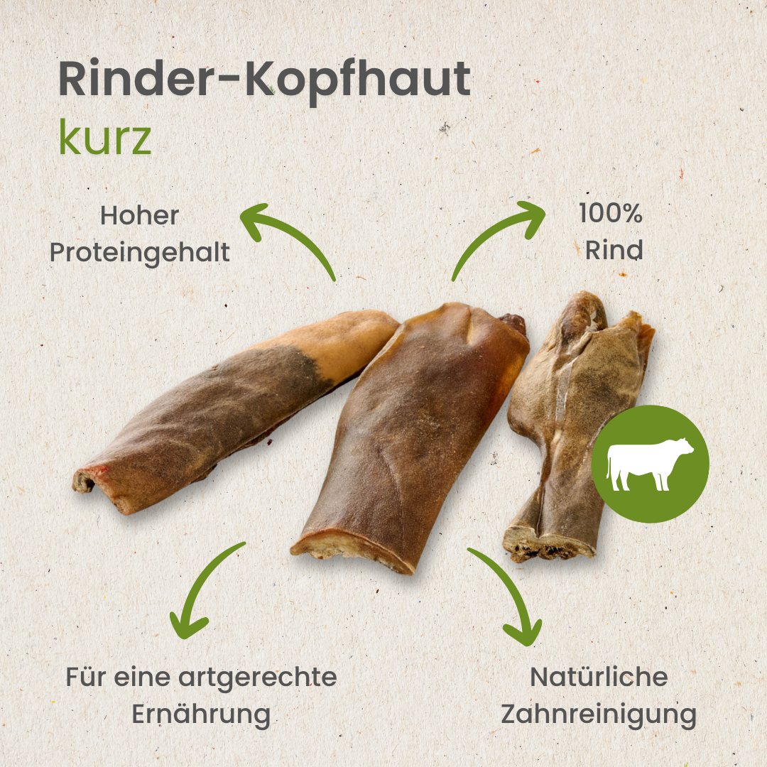 Rinder-Kopfhaut, kurz