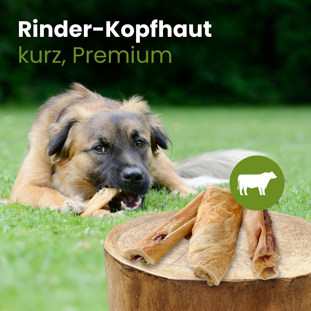 Rinder-Kopfhaut, kurz Premium
