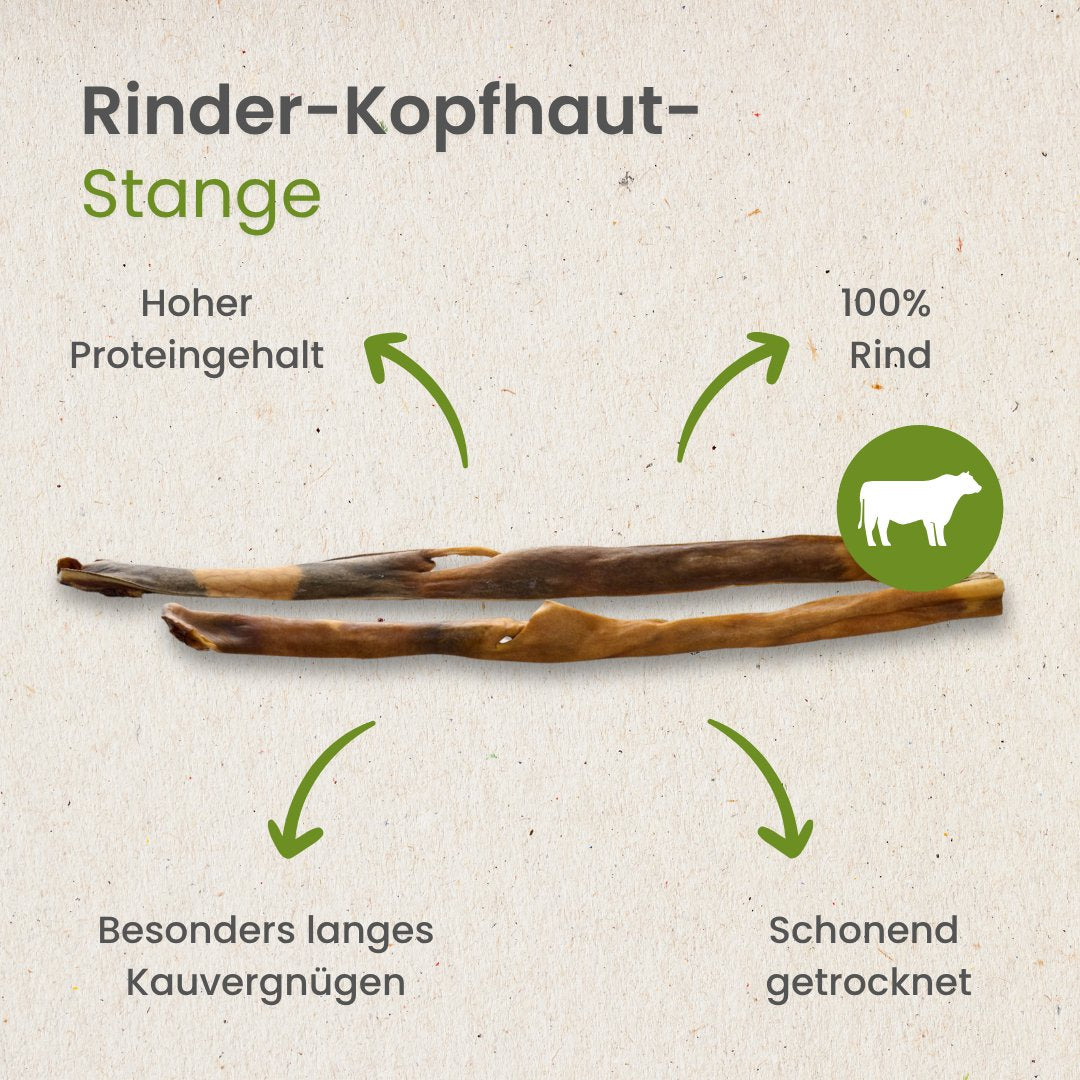 Rinder-Kopfhaut-Stange