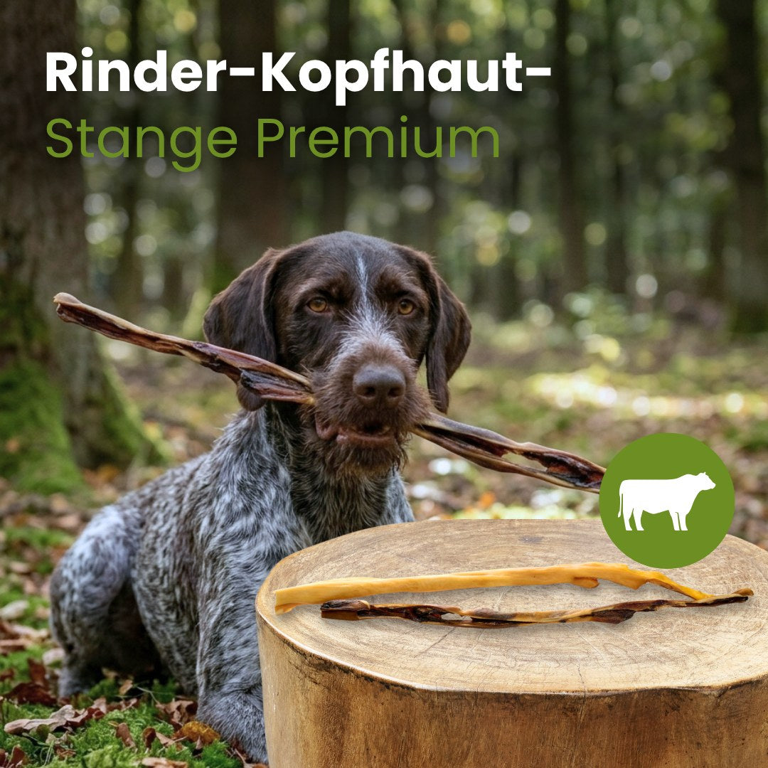 Rinder-Kopfhaut-Stange Premium Qualität