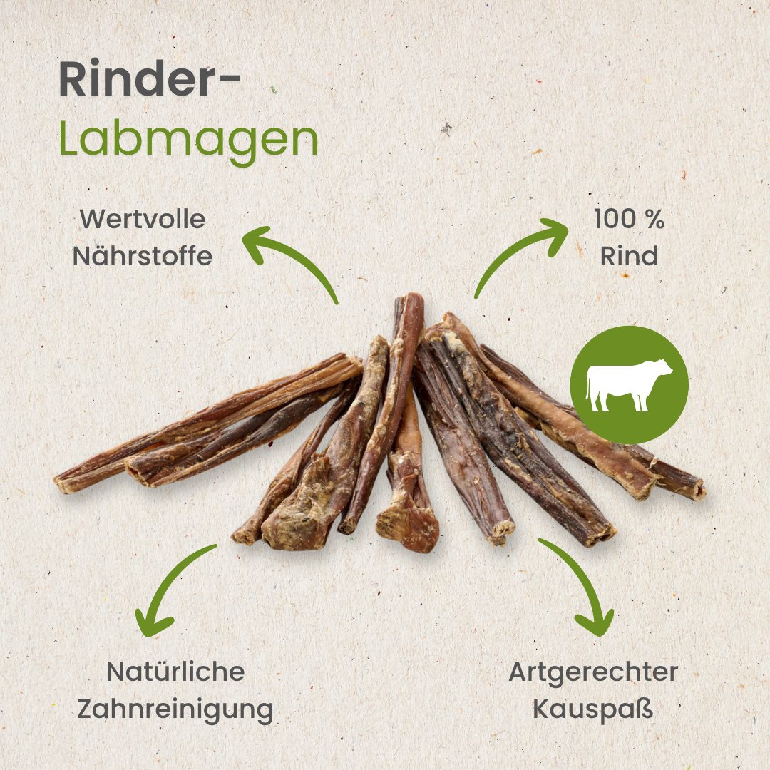 Rinder-Labmagen