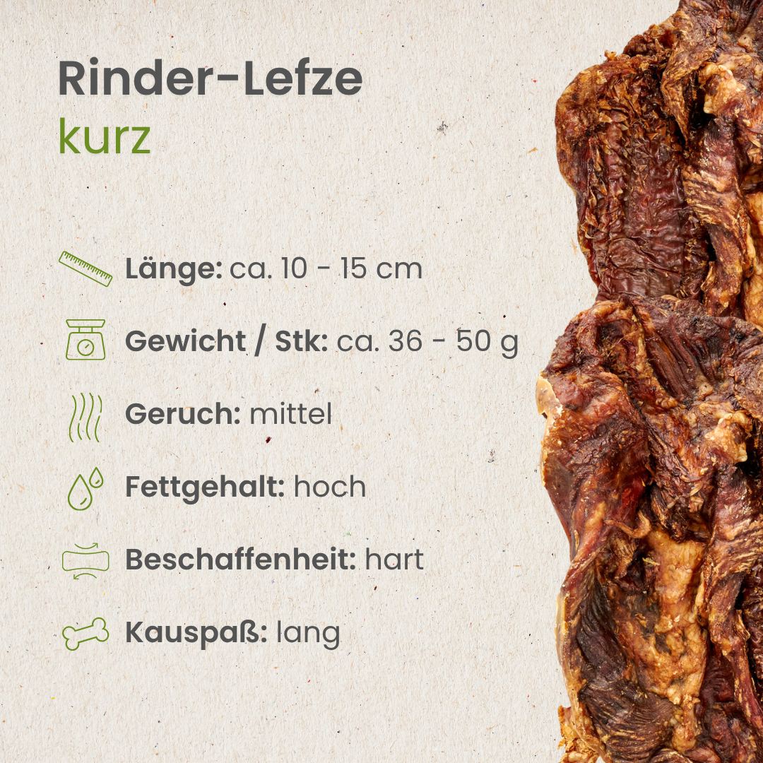 Rinder-Lefze, kurz