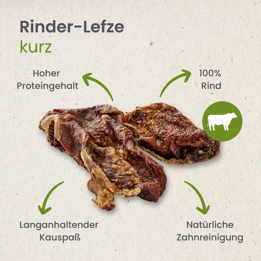 Rinder-Lefze, kurz
