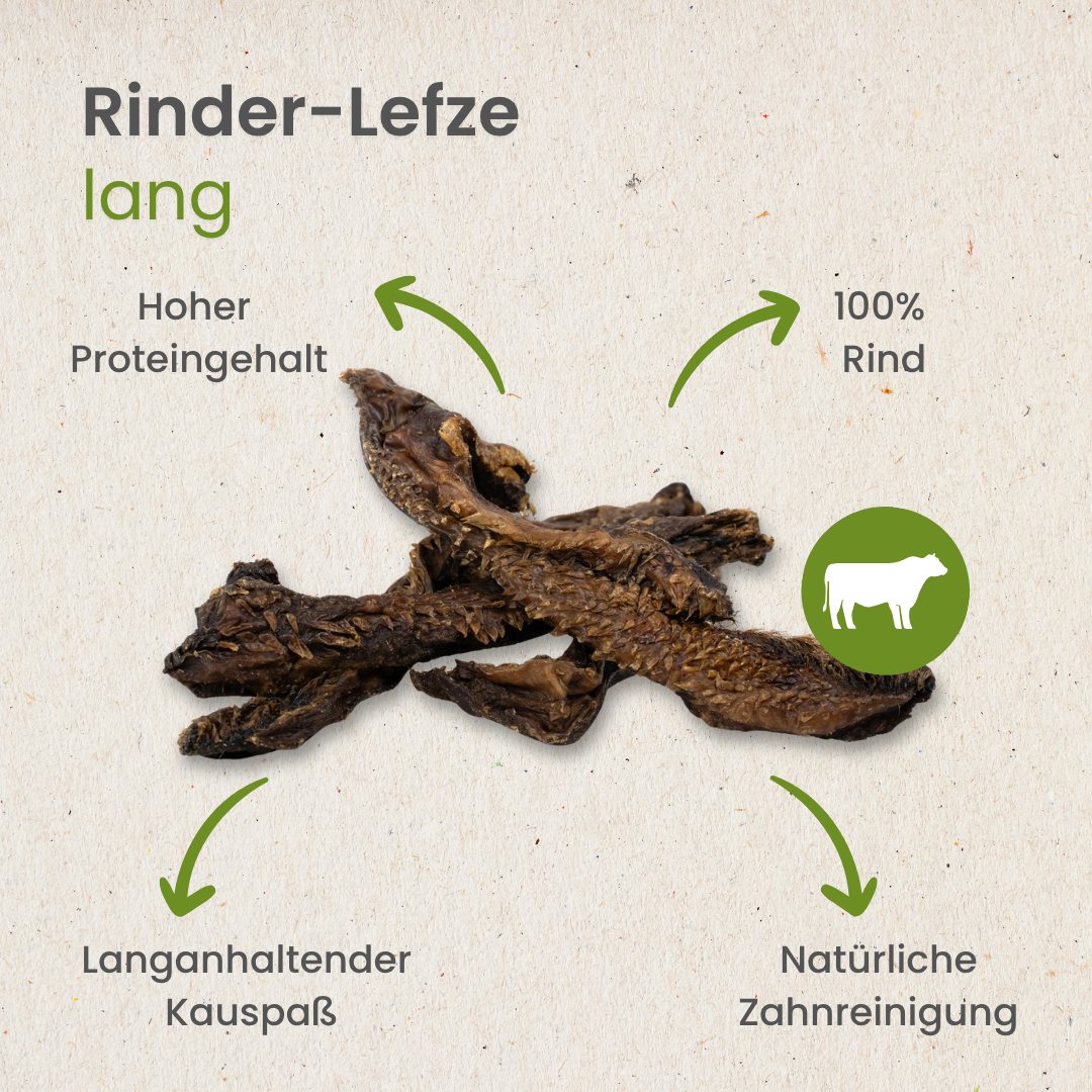 Rinder-Lefze, lang