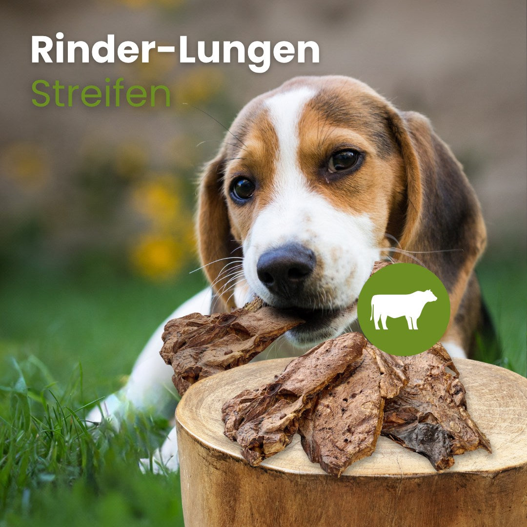 Rinder-Lungen Streifen