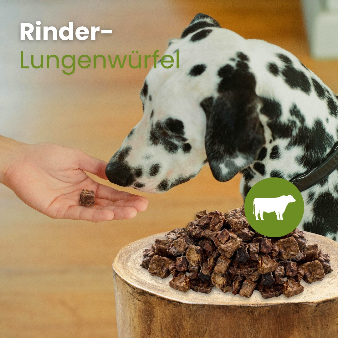 Rinder-Lungenwürfel