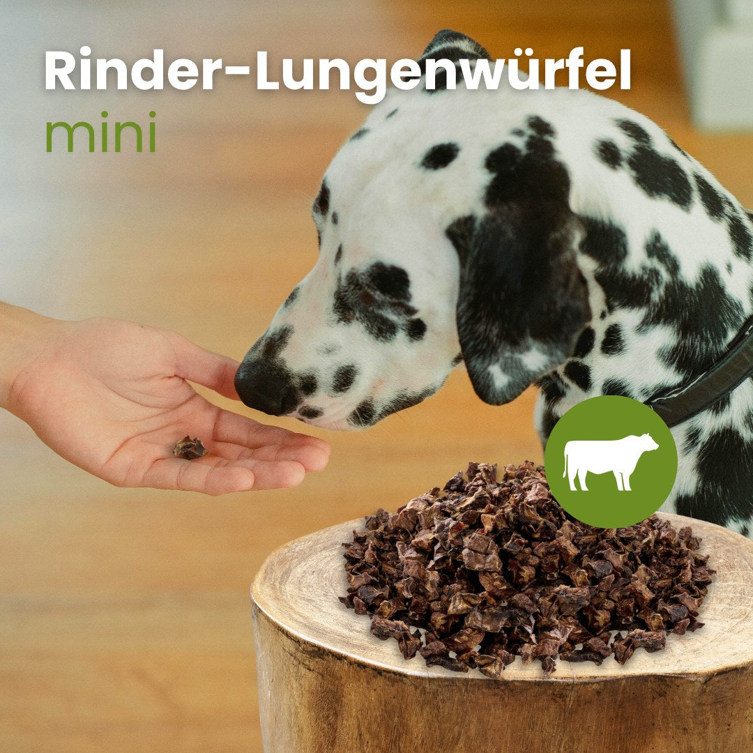 Rinder-Lungenwürfel, Mini
