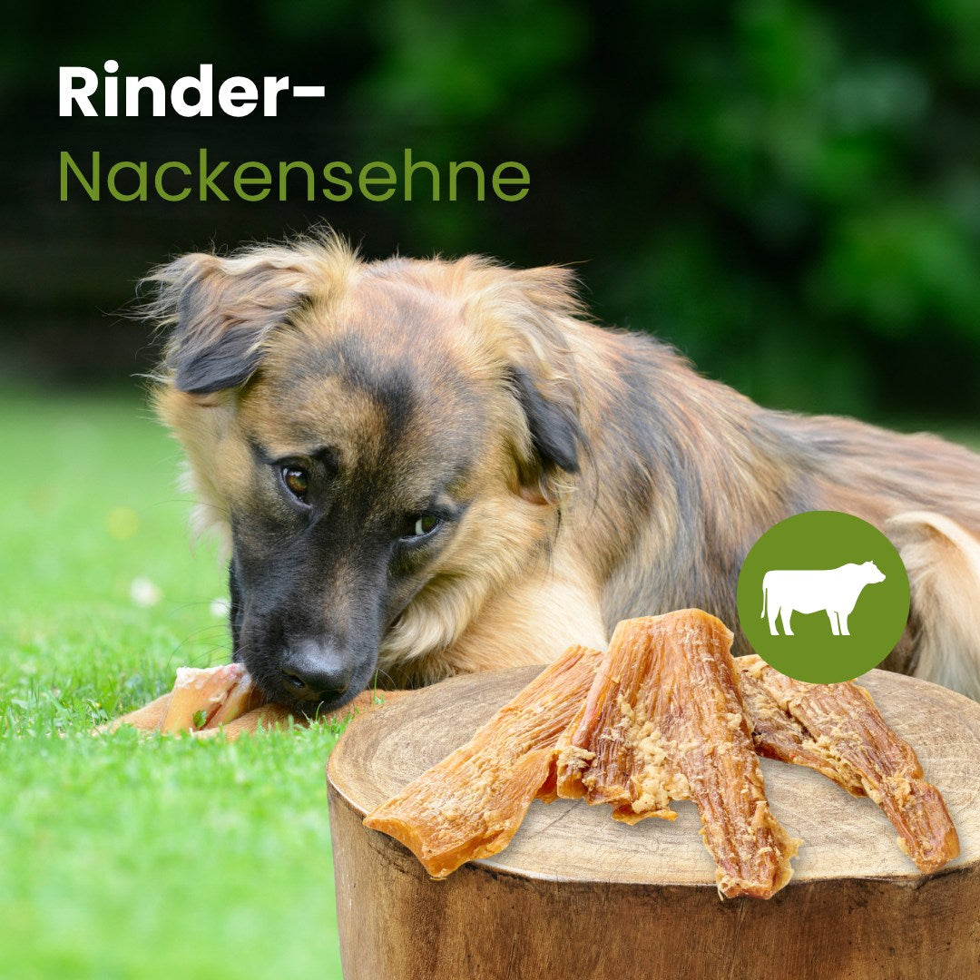 Rinder-Nackensehne