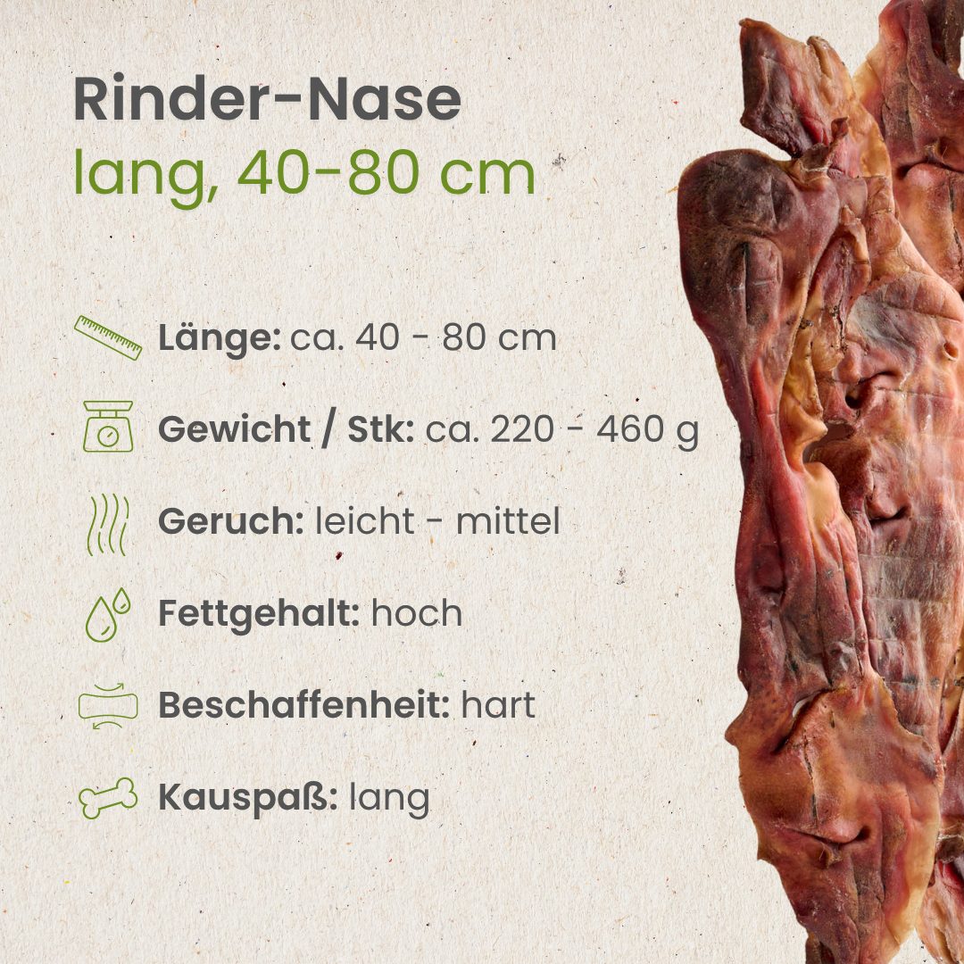 Rinder-Nase, lang 40-80cm