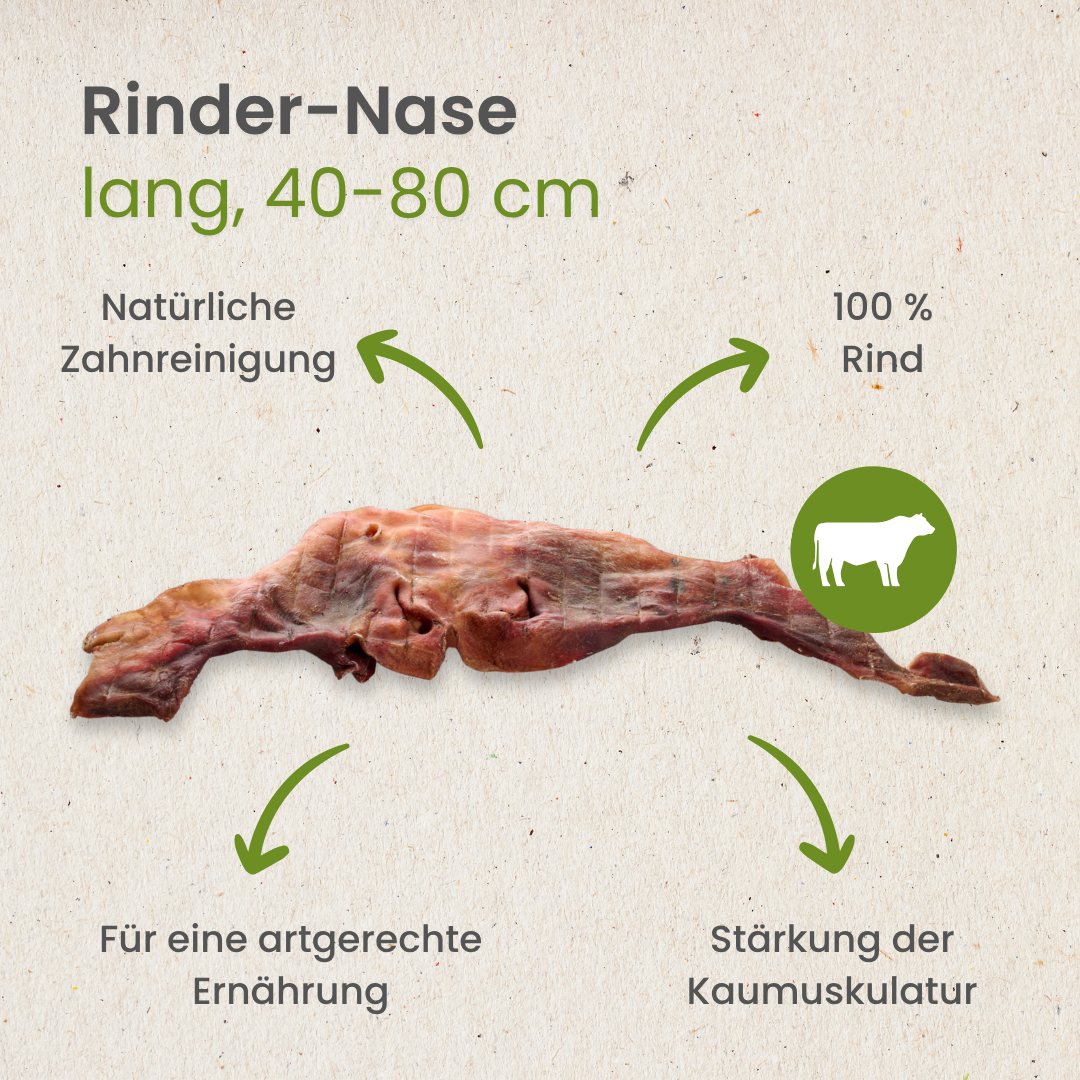 Rinder-Nase, lang 40-80cm