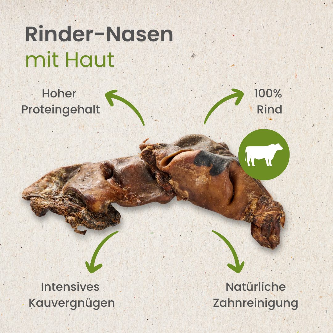 Rinder-Nasen mit Haut