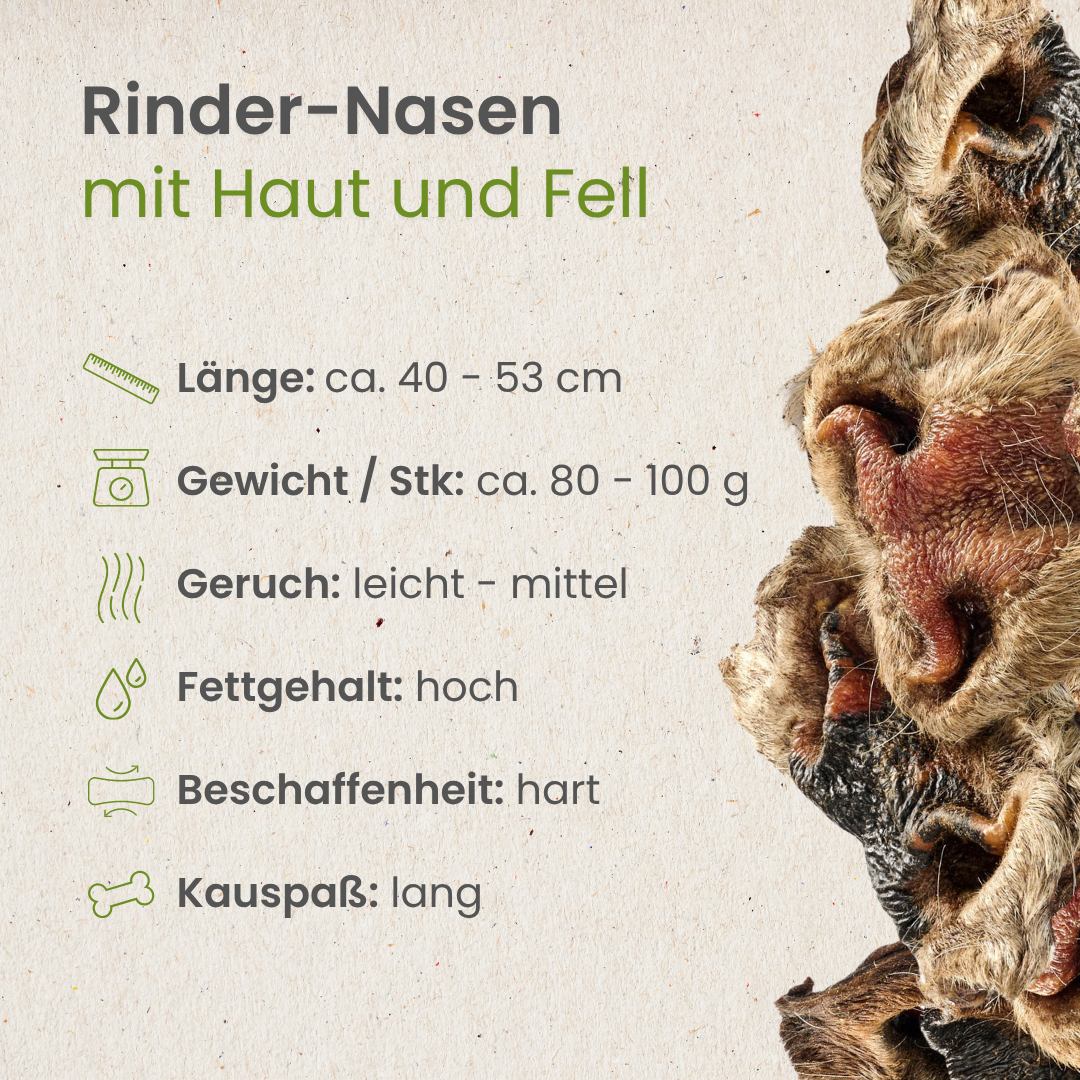 Rinder-Nasen mit Haut und Fell