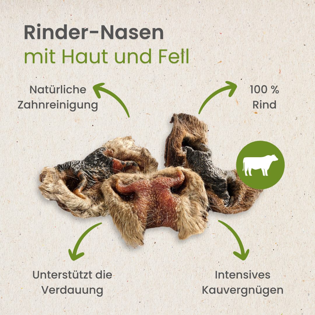 Rinder-Nasen mit Haut und Fell