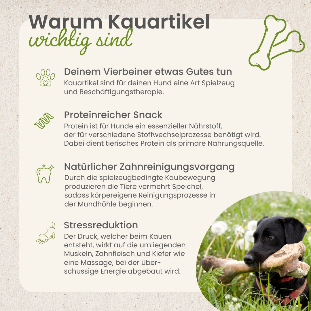 Rinder-Nasen mit Haut und Fell
