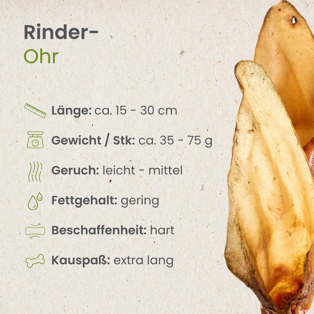 Rinder-Ohr