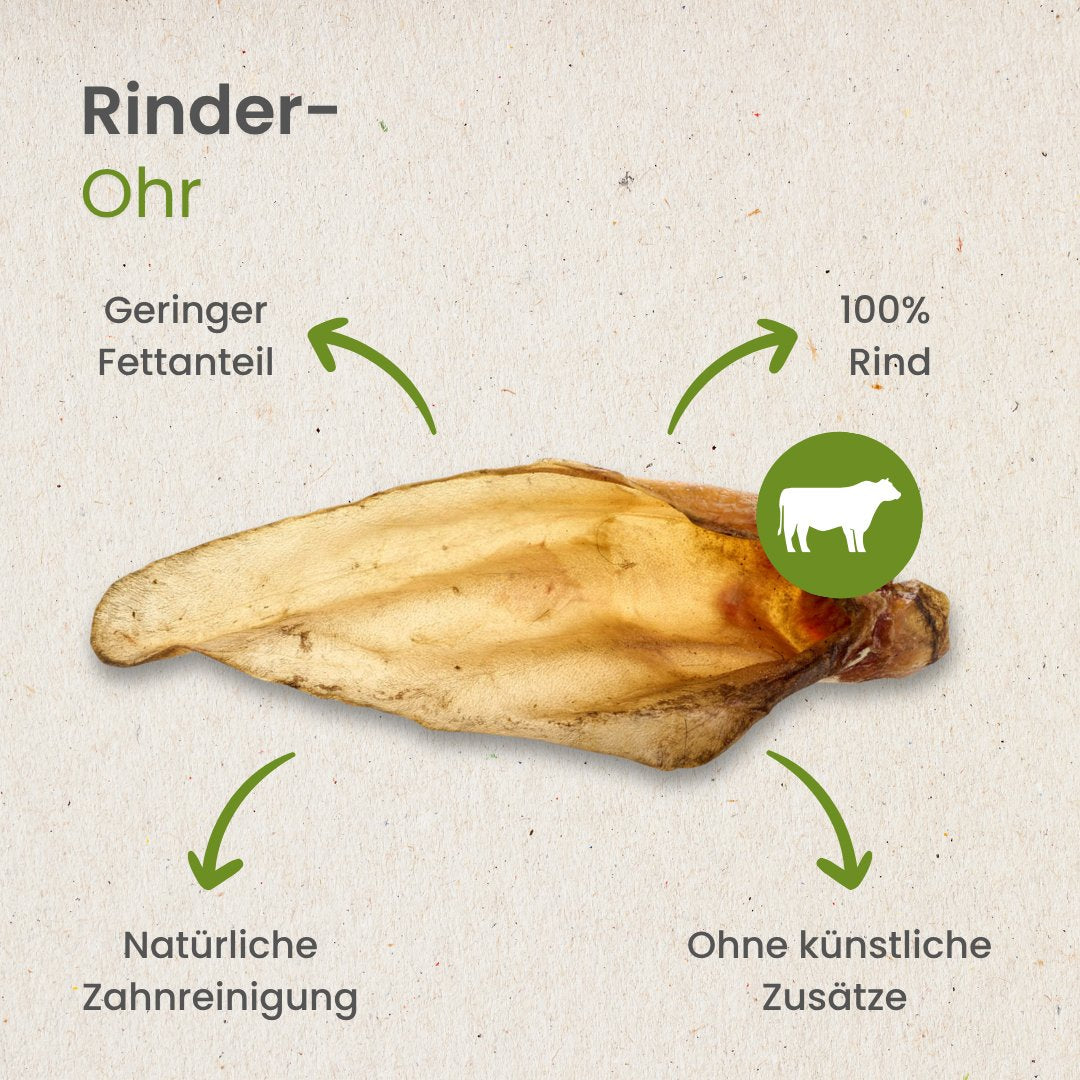 Rinder-Ohr