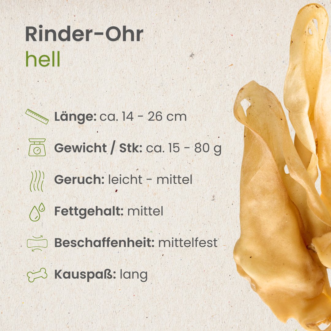 Rinder-Ohr, hell   -   (ehemals Rinder-Ohr, weiß)