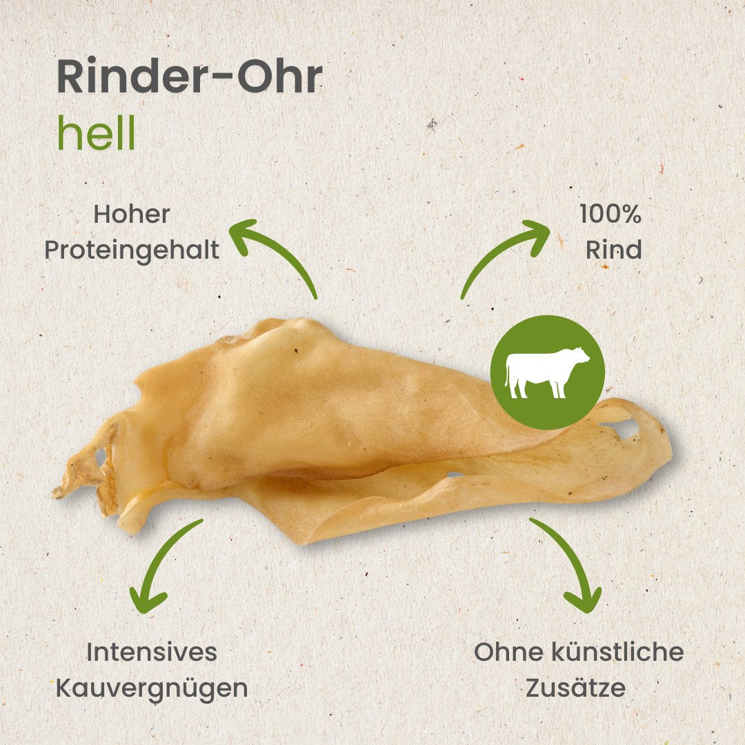 Rinder-Ohr, hell   -   (ehemals Rinder-Ohr, weiß)