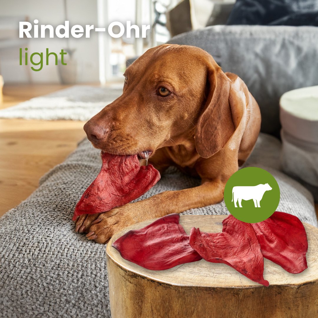 Rinder-Ohren, light
