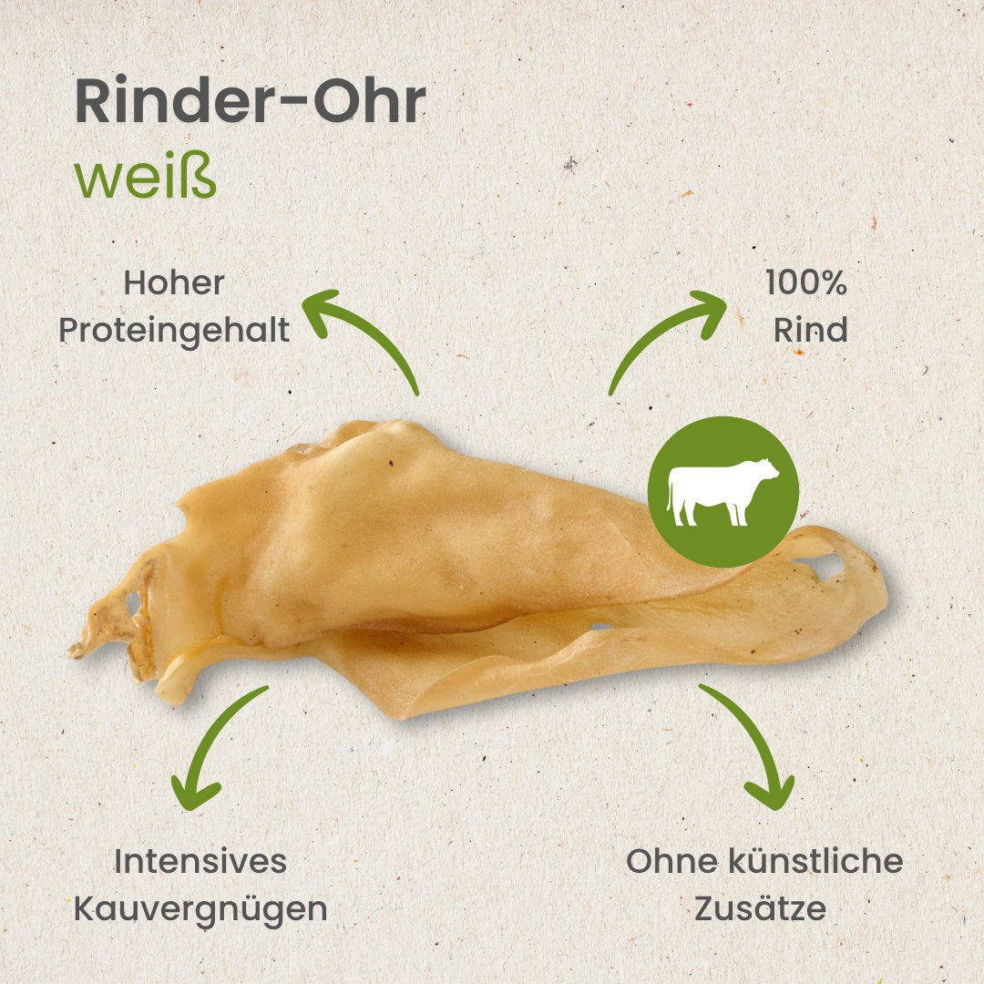 Rinder-Ohr, hell   -   (ehemals Rinder-Ohr, weiß)