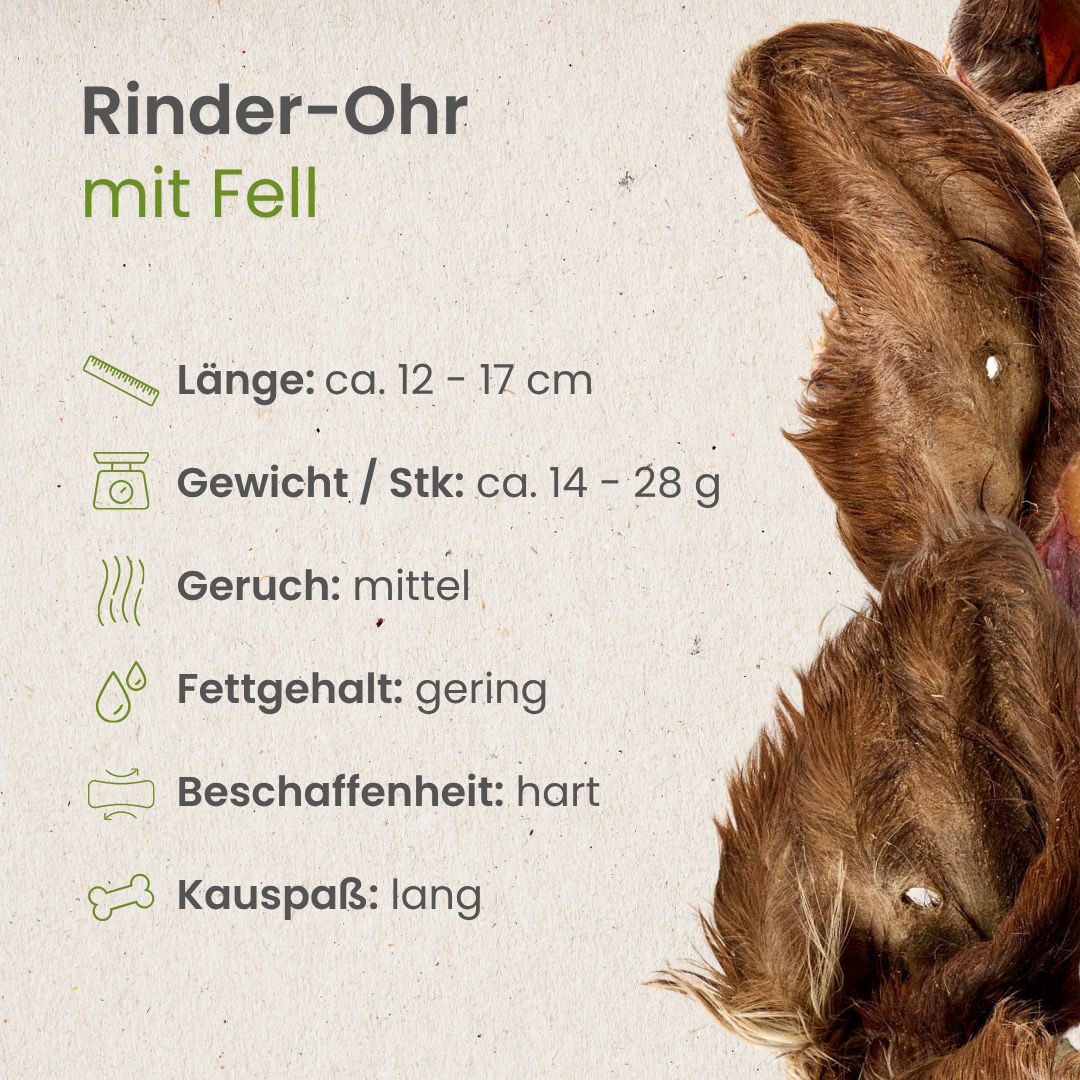 Rinder-Ohr mit Fell
