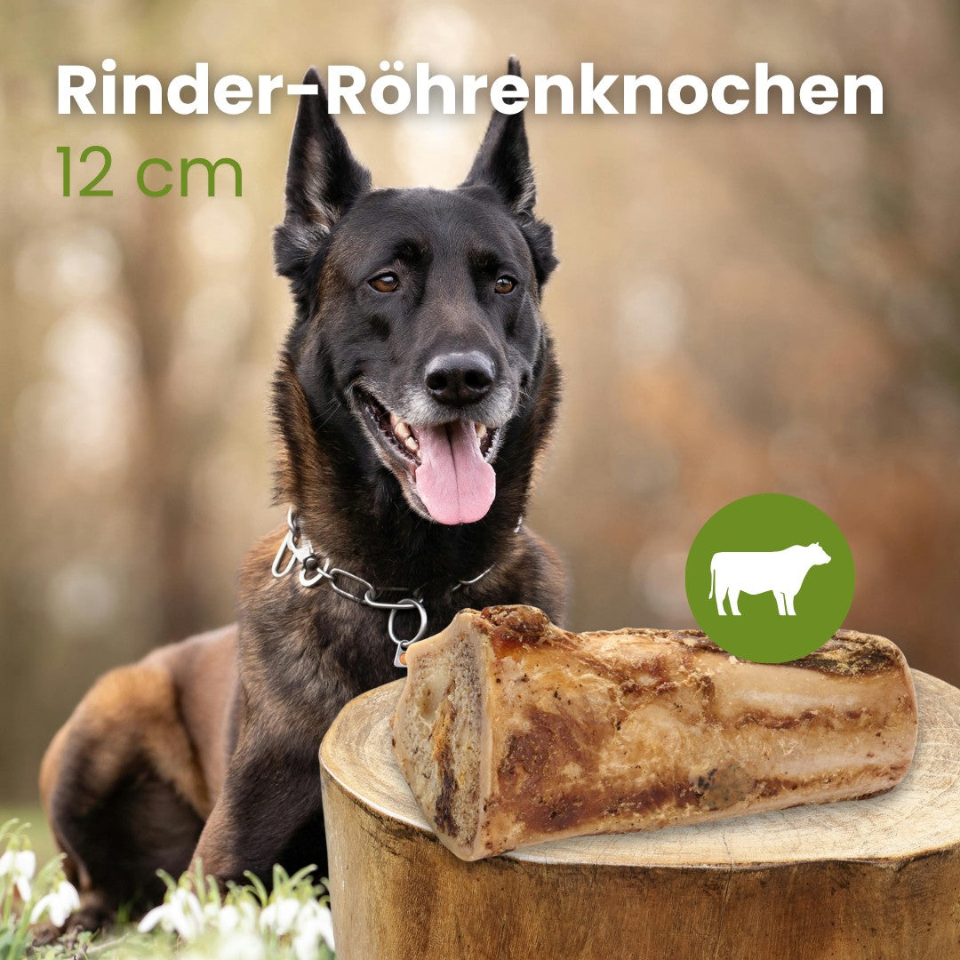 Rinder-Röhrenknochen 12cm