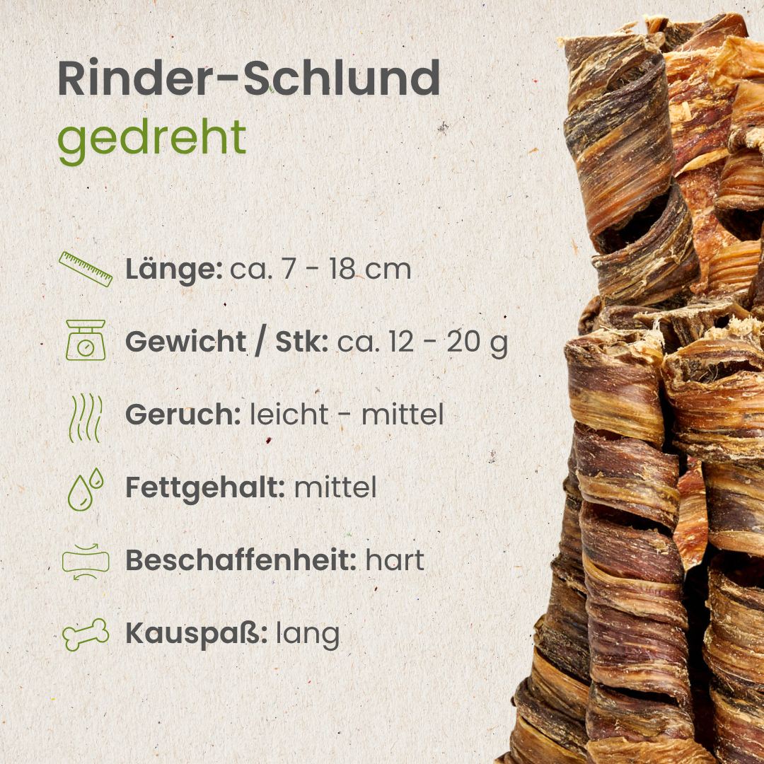 Rinder-Schlund, gedreht