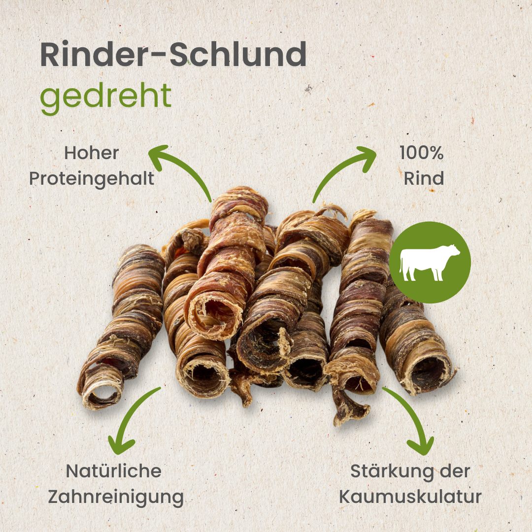 Rinder-Schlund, gedreht