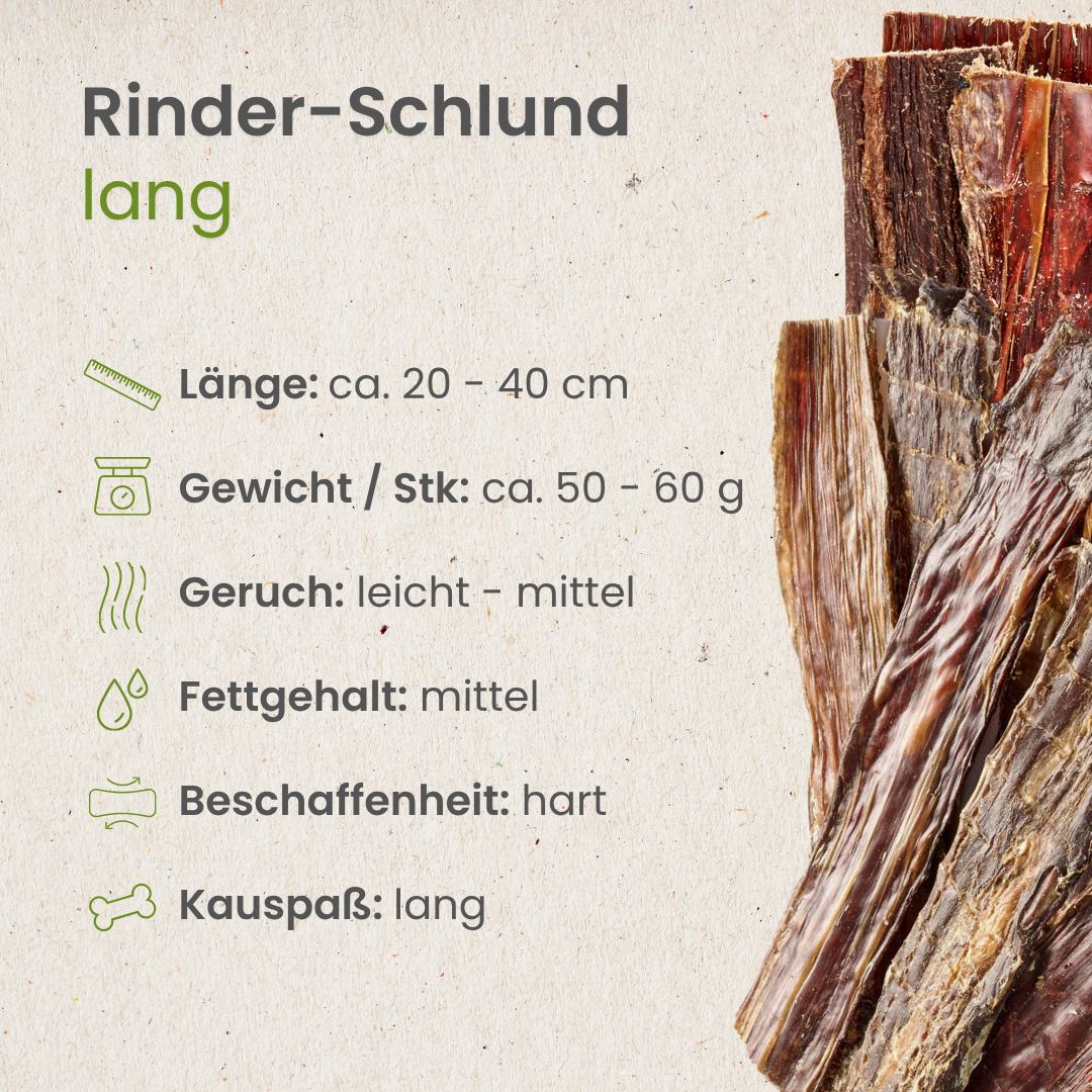 Rinder-Schlund, lang