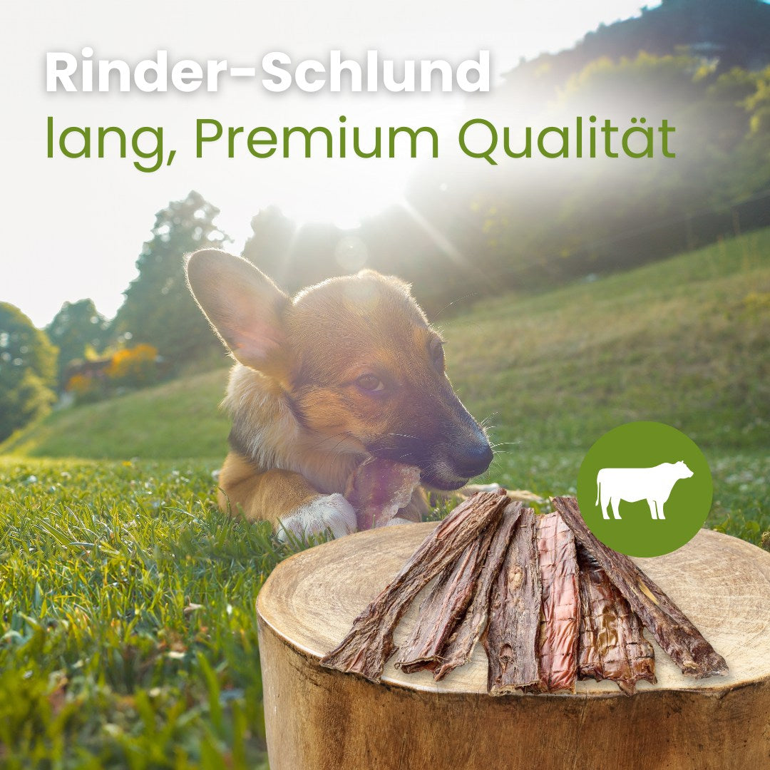Rinder-Schlund, lang Premium Qualität