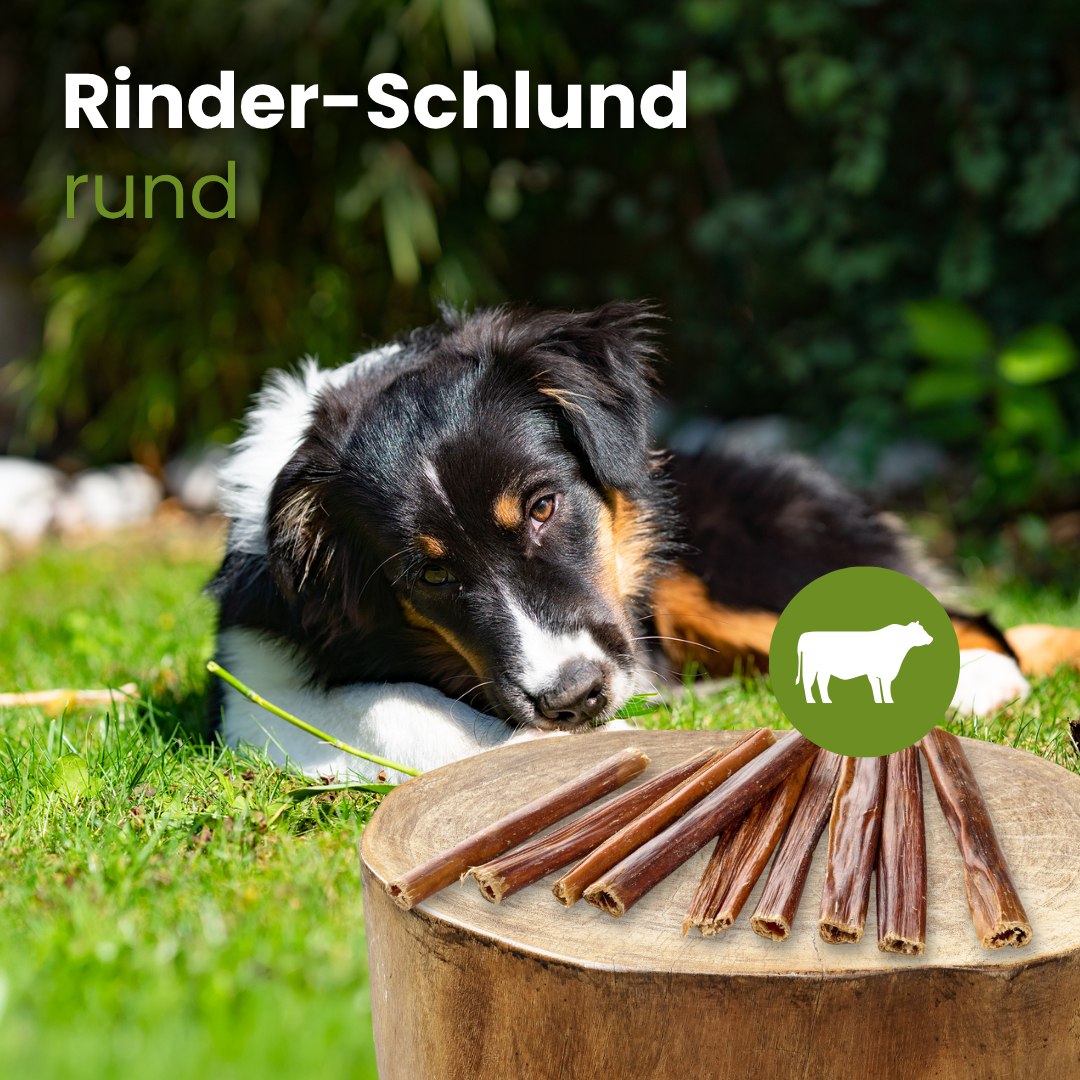 Rinder-Schlund, rund