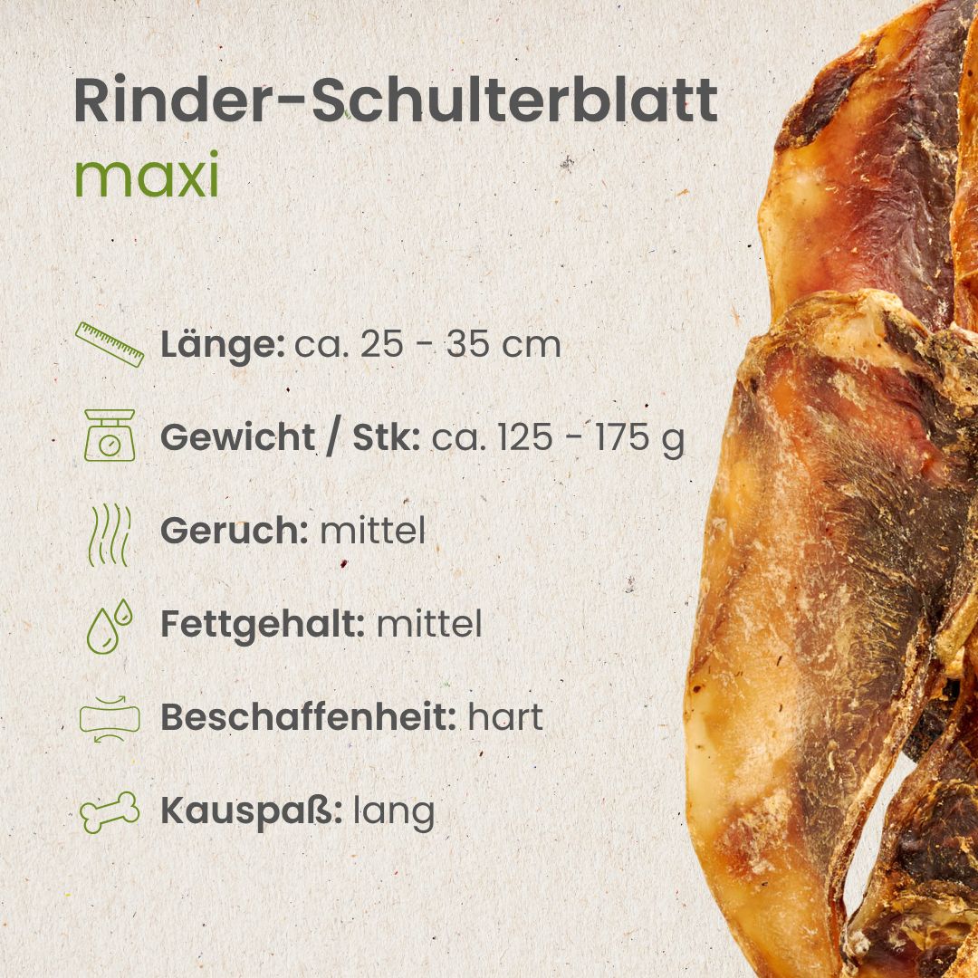 Rinder-Schulterblatt Maxi