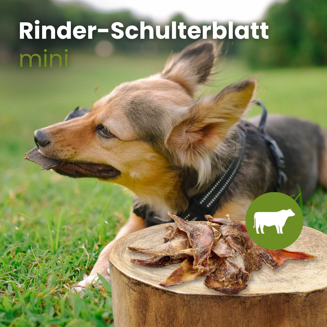 Rinder-Schulterblatt Mini