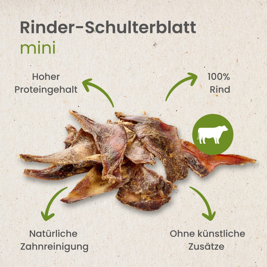 Rinder-Schulterblatt Mini