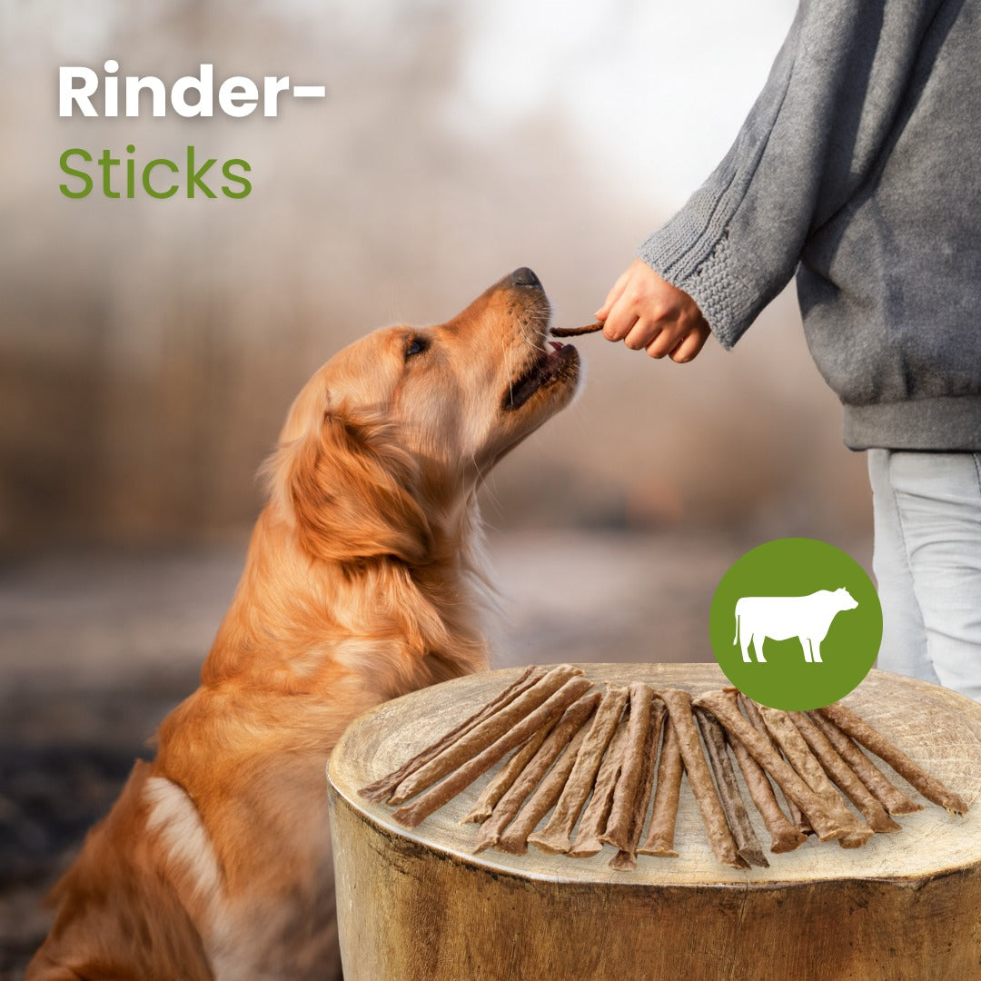 Rinder-Sticks