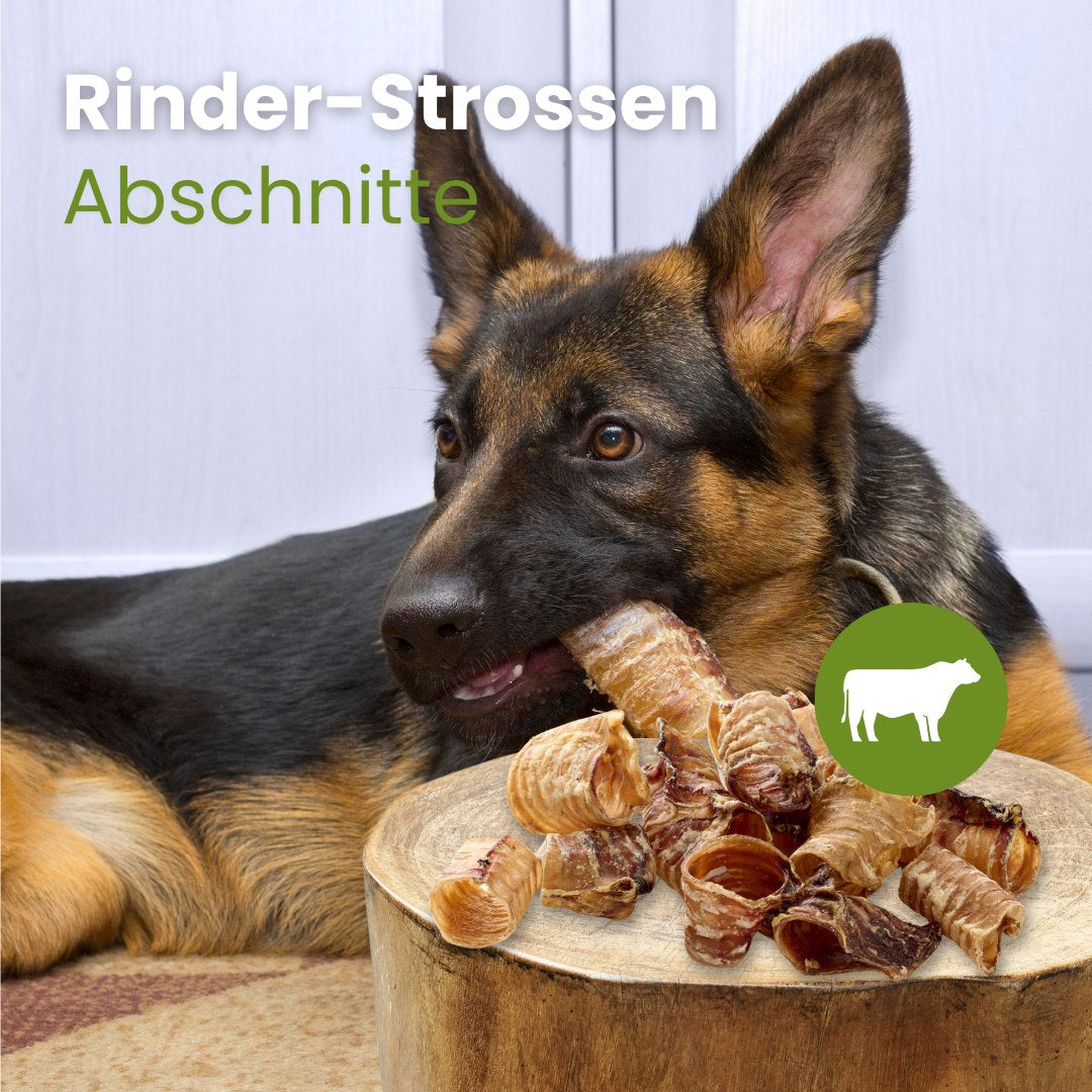 Rinder-Strossen, Abschnitte
