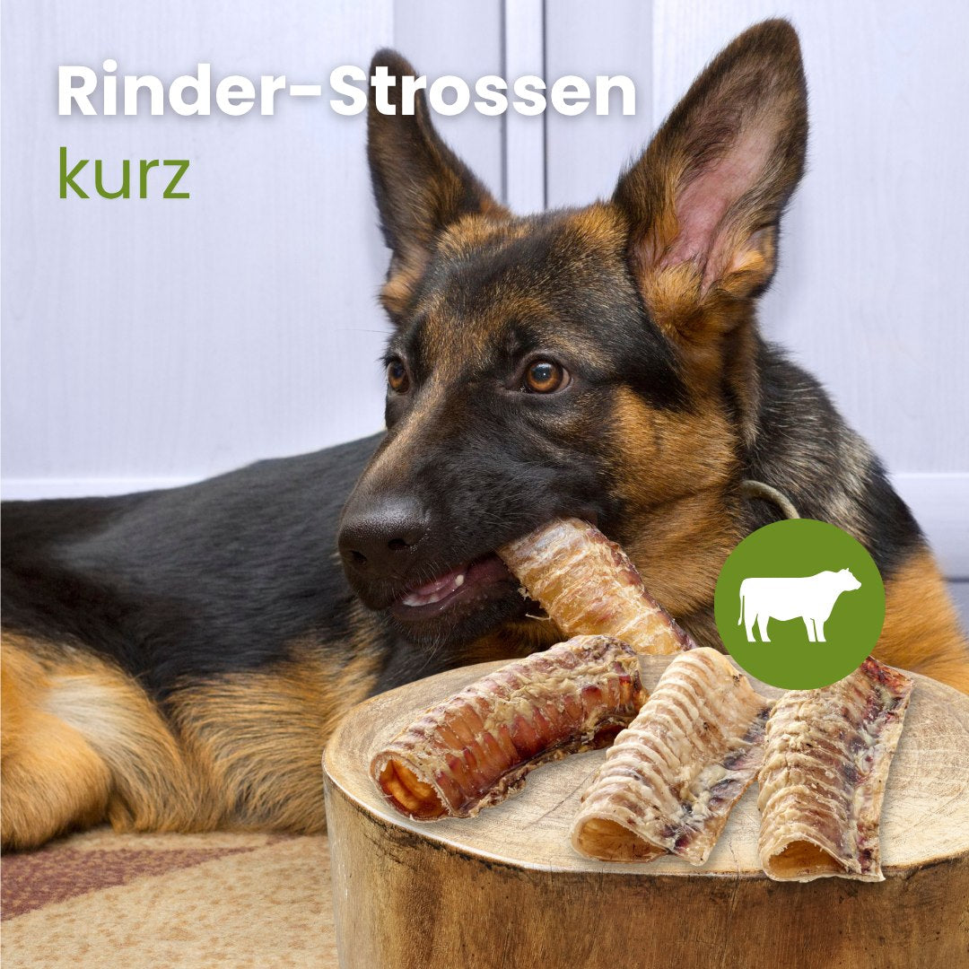 Rinder-Strossen, kurz