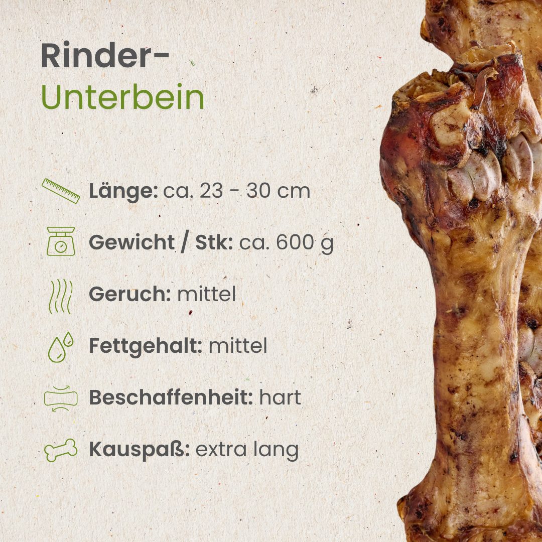 Rinder-Unterbein