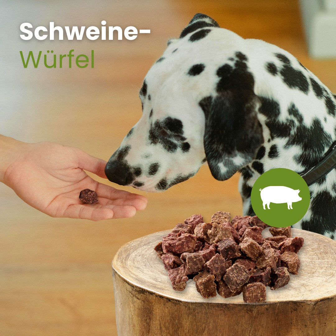Schweine-Würfel
