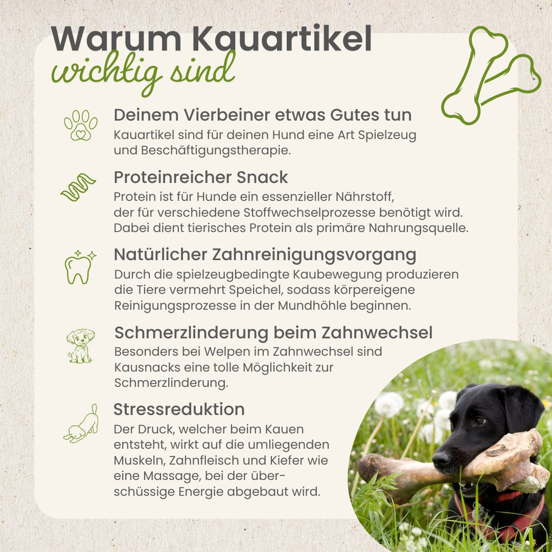 Straußen-Würfel
